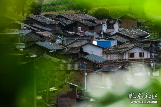 卡通汽车涂颜色